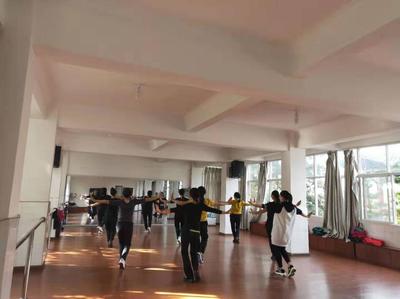 新平縣政府信息公開與文藝創作服務 提升文化惠民水平的新路徑